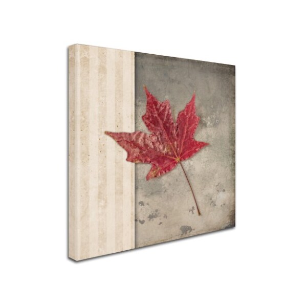 LightBoxJournal 'Lodge Leaf 1' Canvas Art,18x18